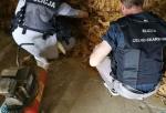 Funkcjonariusze KAS i policjanci z Opola zlikwidowali nielegalną wytwórnię tytoniu