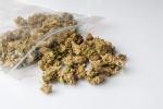 przezroczysty foliowy woreczek zawierający liście marihuany