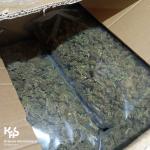 Zielony susz w worku