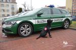 Pies służbowy przy radiowozie Służby Celno-Skarbowej
