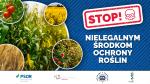 grafika z napisem Stop Nielegalnym Środkom Ochrony Roślin