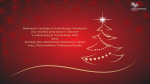 Kartka z życzeniami świątecznymi z Izby Administracji Skarbowej w Opolu. Kartka jest w kolorze czerwonym i znajduje się na niej kontur ubranejchoinki w kolorze złotym oraz jasnoczerwone śnieżki. W prawym górnym rogu logo Krajowej Administracji Skarbowej.
Życzenia brzmią: „Radosnych i spokojnych Świąt Bożego Narodzenia
oraz wszelkiej pomyślności i sukcesów  w nadchodzącym Nowym Roku 2020 życzą Dyrekcja Izby Administracji Skarbowej w Opolu wraz z Pracownikami i Funkcjonariuszami