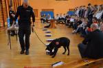 Funkcjonariusz opolskiej KAS z psem tropiącym, czarnym labradorem przeszukuje pudełka w poszukiwaniu narkotyków